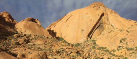 Avis Safari: Cape Epic 2025