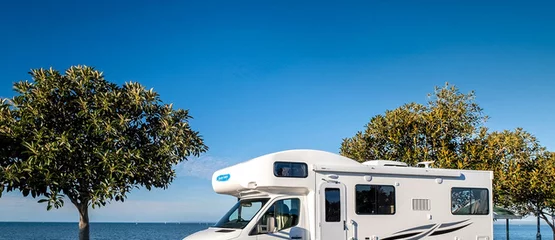 Cheapa Campa: MHR 2025 澳大利亚和新西兰促销