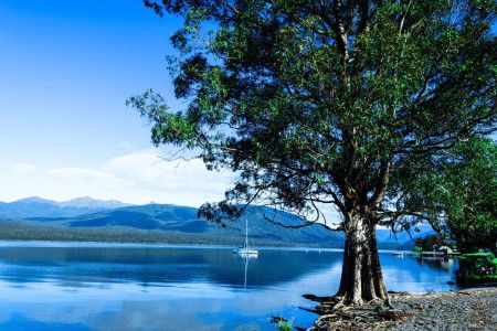 Morning overview of Te Anau.