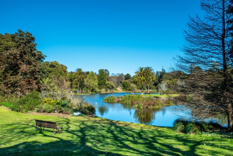 Rent a campervan Melbourne and visit the famous Royal Botanic Gardens.