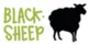 Blacksheep Campervan Rental